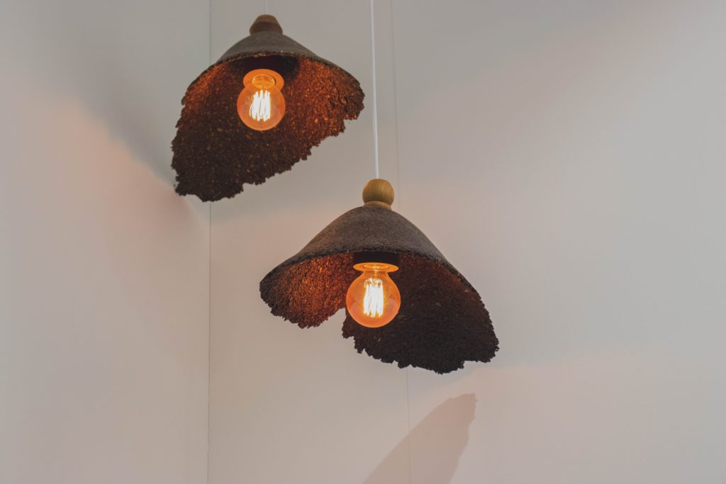 Safest Light Bulbs for Your Home