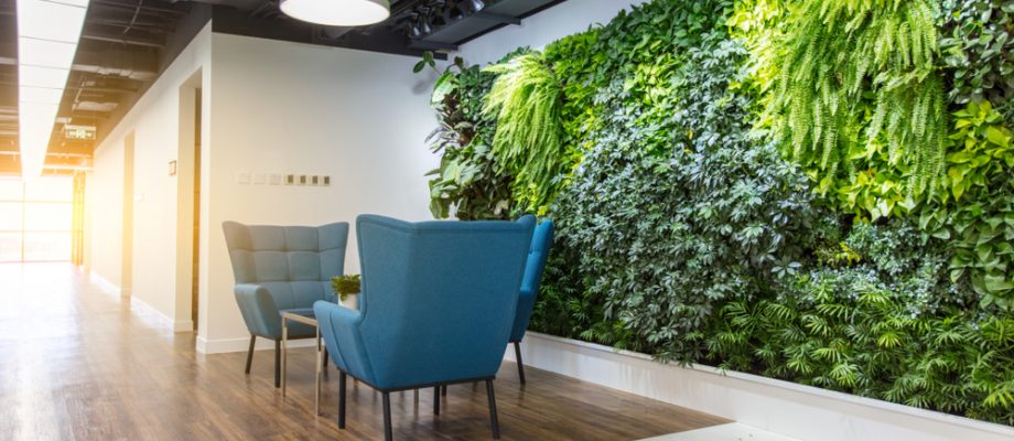 Embracing Nature: Illuminating Offices with Biophilic Design